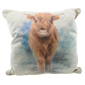 Highland Cow