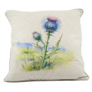 Scottish Thistle